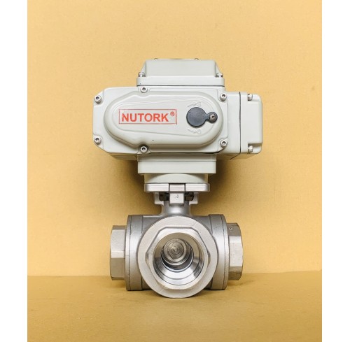 Van bướm điều khiển bằng điện DN65A